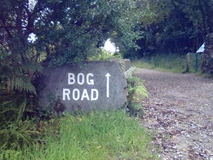 bog road
